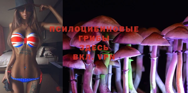 сатива Алексин