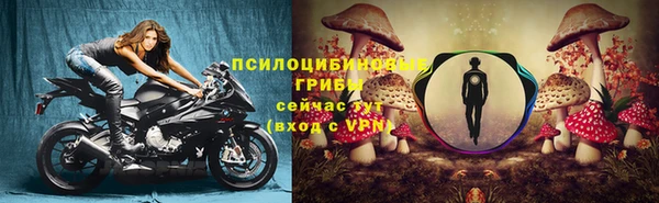 эйфоретик Алексеевка